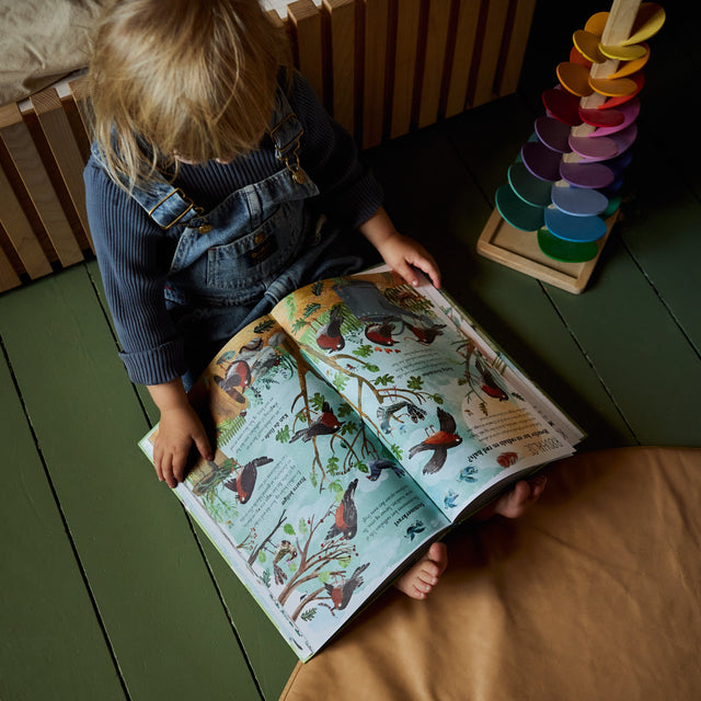 Den store bog om-pakken
