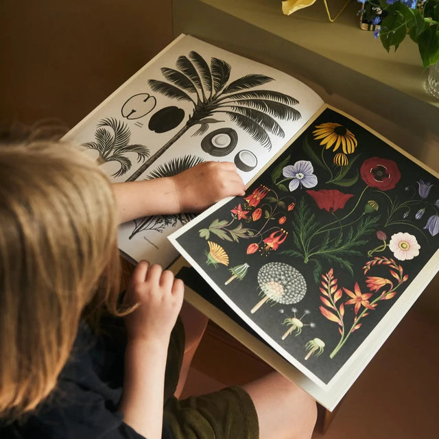 Botanicum Plakatpakke