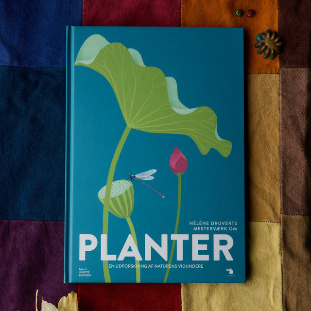 Planter