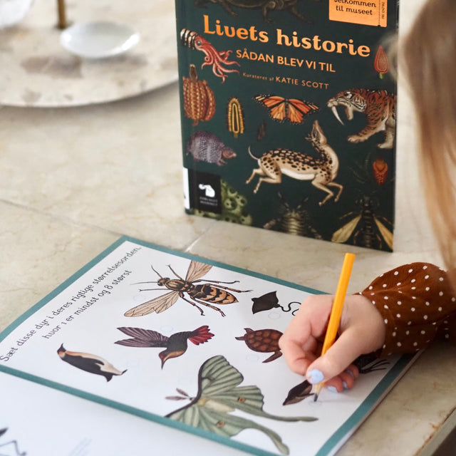 Animalium Aktivitetspakke
