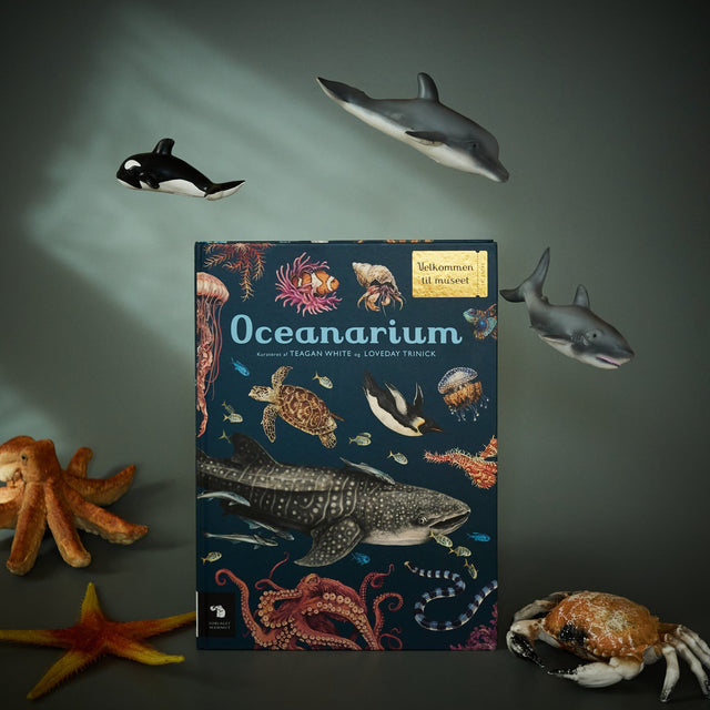 Oceanarium - forside 2